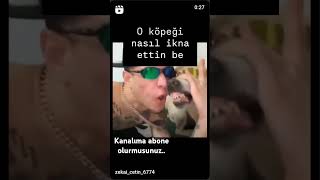 Köpek rockçı çıktı🤣🤣 keşfet keşfetbeniöneçıkar köpektiktokvideoları dog rock rockstar müthiş [upl. by Vina804]