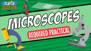 GCSE Biology Revision Guide  Microscopy amp Required Practical [upl. by Barimah]