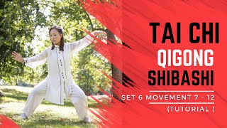 Tai Chi Qigong Shibashi Set 6 Tutorial  Movements 712  Mirrored version with all the details [upl. by Reinhard]