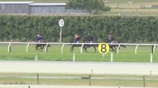 Ashburton Trials 27 11 2024 Heat 6 [upl. by Ribal2]