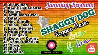 SHAGGY DOG full album [upl. by Bartram468]