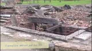 Visite du camp de concentration dAuschwitzBirkenau 2010 [upl. by Eilasor261]