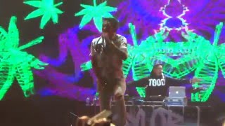 Wiz Khalifa Young Wild amp Free Live in Manila [upl. by Hershel]