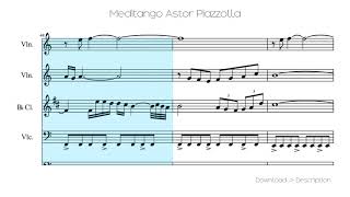 🎶 Meditango Astor Piazzolla 🎸🎸 [upl. by Melisande]