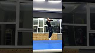 Martial Arts  Tricks kicks tkdartway tricks [upl. by Ahsratal]