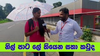 නිල් පාට ලේ තියෙන්නෙ කාටද   Sri Lanka Sinhala Education [upl. by Mose]