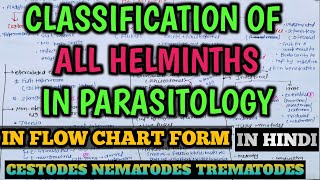 Parasitology  Classification of Helminths in Microbiology  Cestodes  Nematodes  Trematodes [upl. by Yalc]