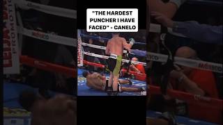 James Kirkland hit Canelo the hardest 👀 Boxing Shorts Short BoxingWise [upl. by Morganstein78]