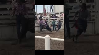 yep thats me youre probably wondering pbr bullriding bullriders famousshorts ucw farm fyp [upl. by Marder]