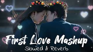 First Love Lofi Mashup💞Slowed amp Reverb❤️ Arijit Singh Love Mashup 😍 Heart Touching Songs [upl. by Shandra]