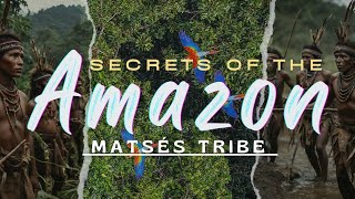 Exploring the Lives of the Matsés Tribe in the Amazon Rainforest [upl. by Ladnyc147]