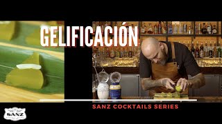 Cómo gelificar en coctelería con Luis Inchaurraga y Sanz Cocktails [upl. by Raseta]