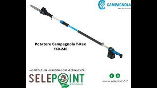 Potatore elettrico a batteria Campagnola T REX con asta telescopica 160240 per lavori di potatura [upl. by Nosiram455]