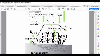 CROPWAT MODULO CULTIVO [upl. by Krantz]