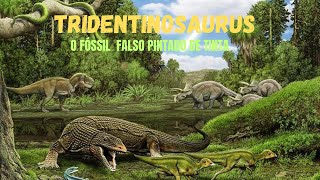 FÓSSIL FRAUDE TRIDENTINOSAURUS DESMASCARADO [upl. by Nevi]