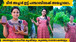 മീൻ അച്ചാർ ഇട്ട് പഞ്ചാബിലേക്ക് അയച്ചാലോ Saranyas beauty vlogs [upl. by Kinnon684]