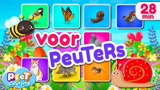 Dieren Leren Nederlands • 20 dieren vogels en insecten in de tuin • Pretlettertjes voor Peuters [upl. by Louls711]