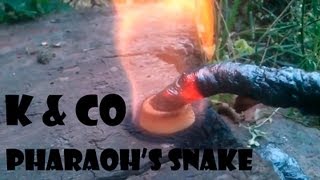 Сульфаниламидная фараонова змея  Sulfanilamide pharaohs snake [upl. by Ikcin]