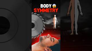 Human body cut in two parts 😱  Body Symmetry science education facts biology neet [upl. by Ssegrub]