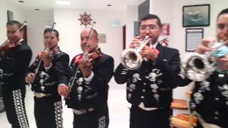 Mañanitas a las madres mariachi de la MARINA [upl. by Percival582]