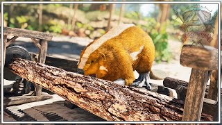 This Beaver Does A Very Important Job In Our Base  Ark Survival Ascended Episode 5 [upl. by Philippe]