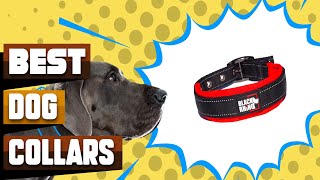 Best Dog Collars In 2024  Top 10 Dog Collars Review [upl. by Harpp45]