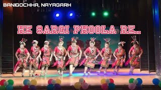 HE SARGI PHOOLA RE TITLE SONG  SARGI PHOOLA NEW SONG  BANIGOCHHA NAYAGARH 2024BHAIRABI CREATION [upl. by Kred896]