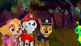 La Patrulla Canina  Videos capitulos completos dibujos animados para Niños Español [upl. by Osrick]