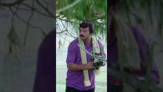 Watch full video 👆 Thenali Movie Scenes  thenali kamalhaasan jayaram jyothika comedy shorts [upl. by Kym]