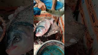 Katla Fish Cutting Skills  Niranjan SLP Fish Shop shorts short viral fish fishcutting [upl. by Airelav794]