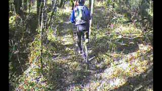 VTT en ligne LOCHES   St AVERTIN 37 Courçay [upl. by Assiluj]