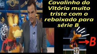 Cavalinho do Vitória muito triste com o rebaixado para série B do brasileirão [upl. by Alleahcim]