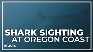 Man comes face to face with great white shark off Oregon Coast [upl. by Sprung123]