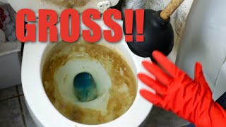 EPIC Toilet Cleaning AWFUL Rust DISGUSTING Smell and Stains GONE [upl. by Nadbus]