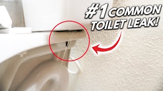 How To Fix The 1 Hidden Toilet LEAK DIY [upl. by Ingunna]