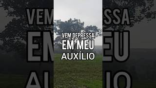 Vem Depressa Em Meu Auxilio [upl. by Adnauqahs]