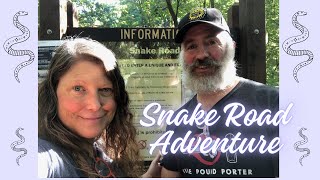 SNAKE ROAD Adventure  Illinois 35 Snakes in 2 days Cottonmouths Timber rattlesnake and more [upl. by Ilhsa]