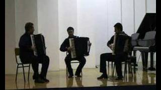 Accordion trio Rondo Capriccioso  Vladislav Zolotariew [upl. by Fitzger]