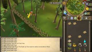 Woodcutting Teaks amp Alching With juju potions [upl. by Sugar]