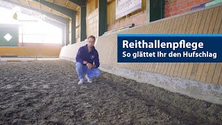 Reithallenboden  die richtige Pflege  Teil 1 Hufschlag amp Begradigen [upl. by Aketahs]