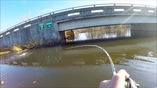 I Found the BEST SPOT Incredible Pike Fishing [upl. by Yanel384]