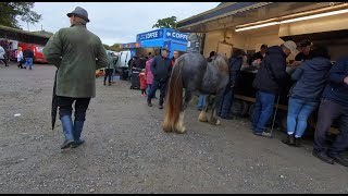 Horse Ordering Fish and Chips at Ballinasloe Horse Fair [upl. by Asial]