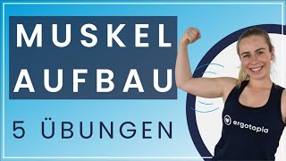 Grundübungen für den Muskelaufbau  5 Übungen für zu Hause [upl. by Narik]