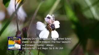 Vivaldi Le Quattro Stagioni The Four Seasons  La Primavera Spring Allegroquot [upl. by Besnard]