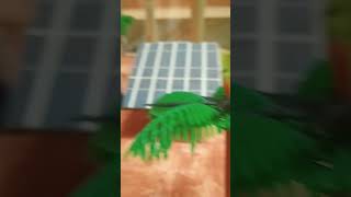 Working model of renewable resources 👍 part 1 subscribe 🙏♥️ [upl. by Nnylarat425]