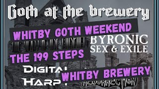 GOTHS MUSIC amp BEER [upl. by Eikcid]