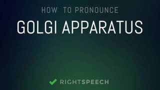 Golgi Apparatus  How to pronounce Golgi Apparatus [upl. by Lhary]