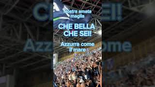 “IL NAPOLI È CAMPION” NUOVO CORO DELLA CURVA A 😍💙 shorts sscnapoli [upl. by Ardnwahsal212]