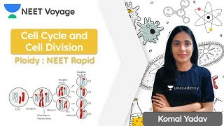 Ploidy  NEET Rapid  Cell Cycle and Cell Division  Botany  NEET Voyage  Komal Yadav [upl. by Alekram]