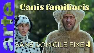 Sans domicile fixe  Canis familiaris  Episode 04  ARTE [upl. by Akinoj733]